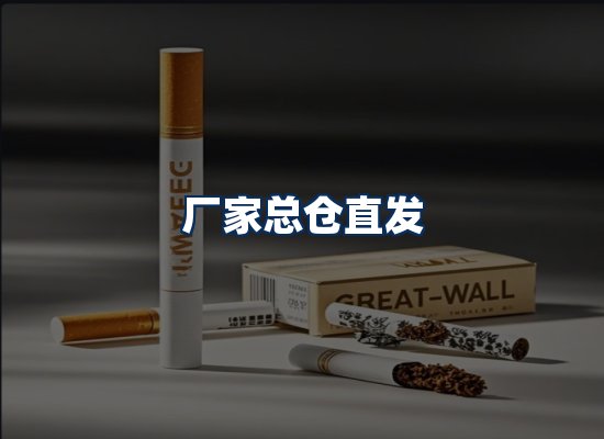 专业团队办公环境
